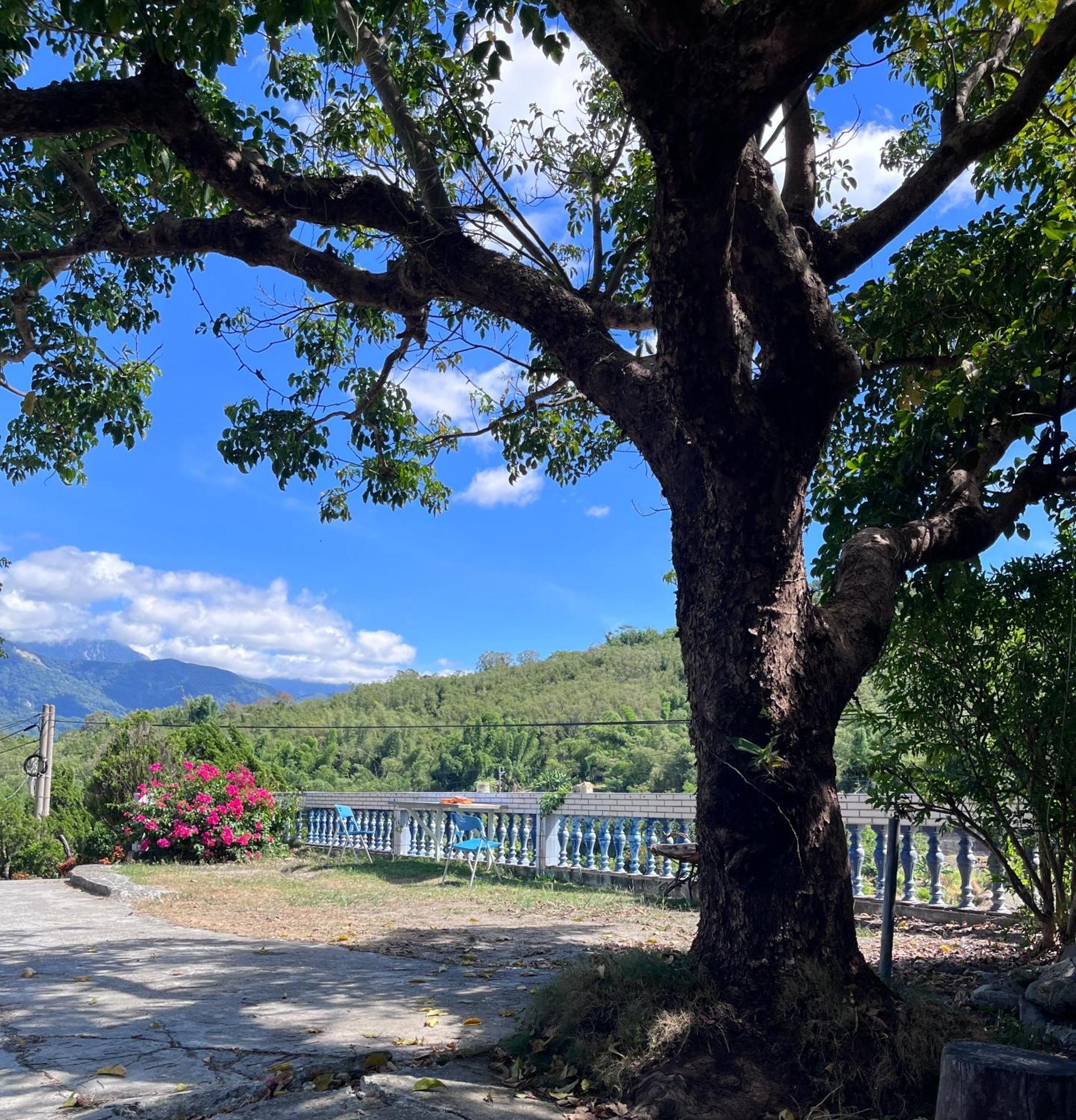十畝田山莊會館 Hotel Chishang Luaran gambar