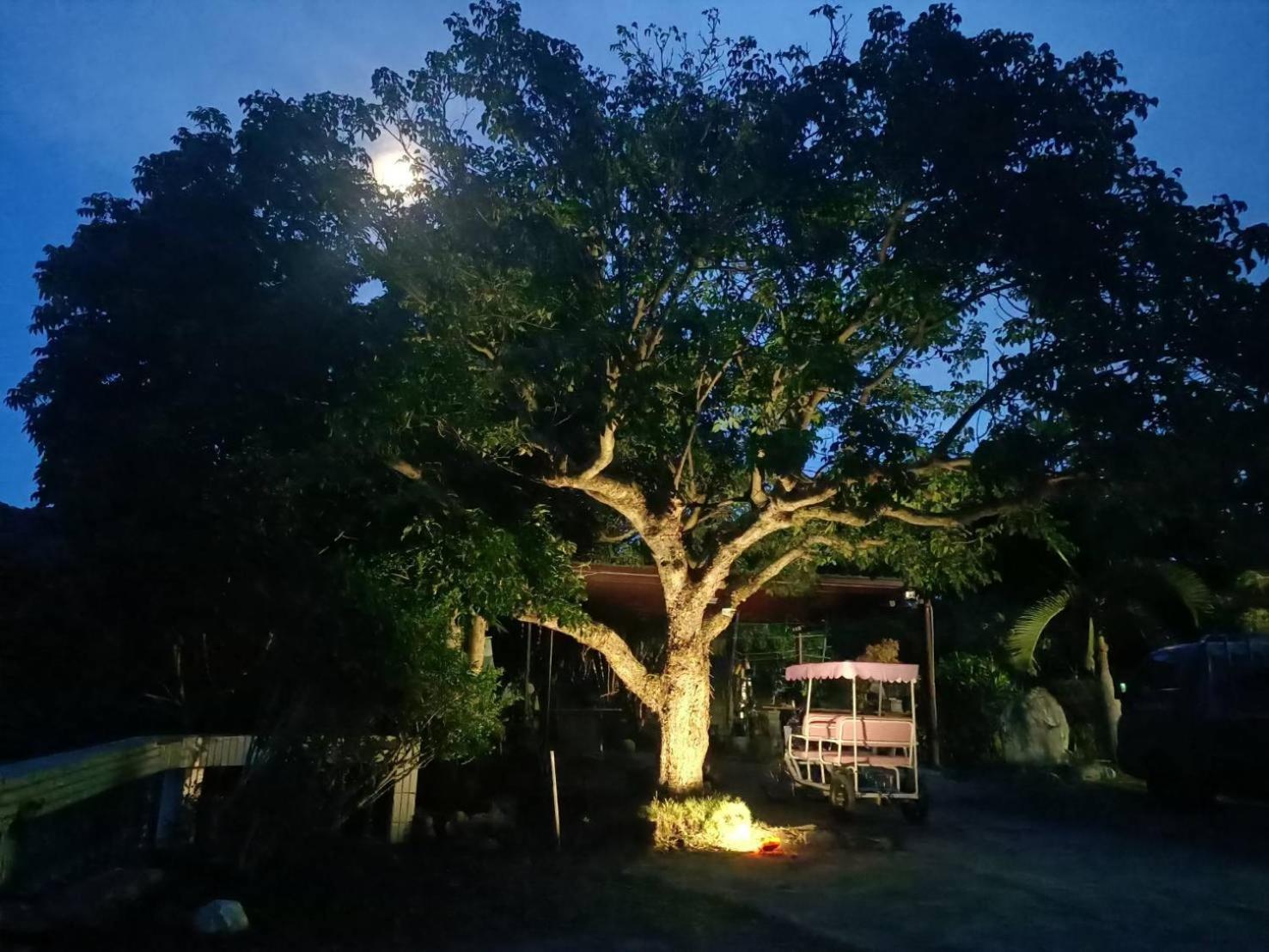十畝田山莊會館 Hotel Chishang Luaran gambar