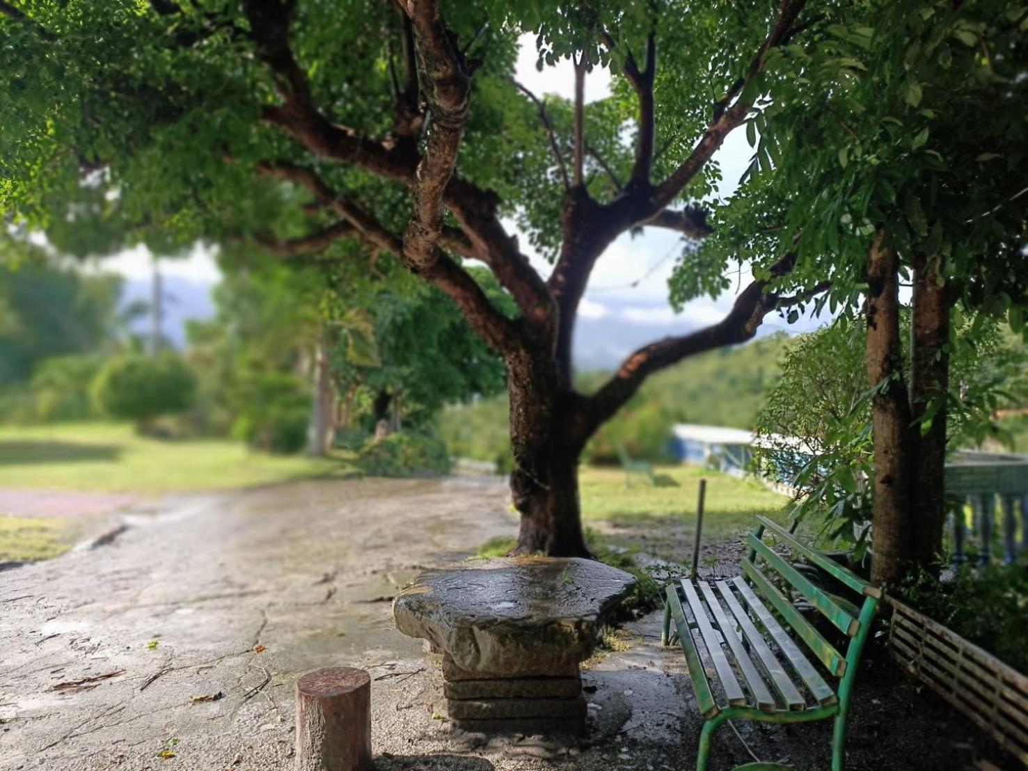 十畝田山莊會館 Hotel Chishang Luaran gambar