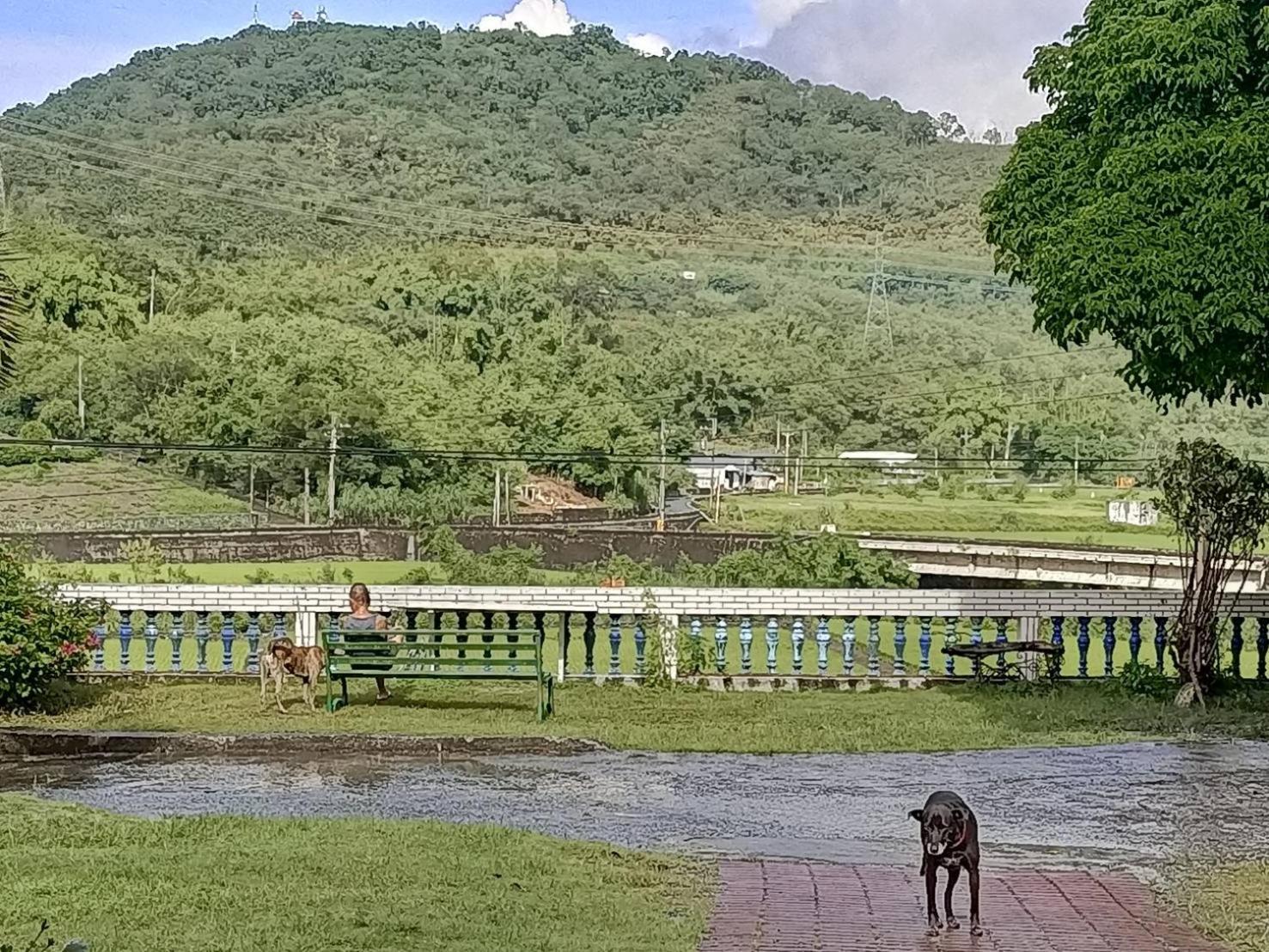 十畝田山莊會館 Hotel Chishang Luaran gambar